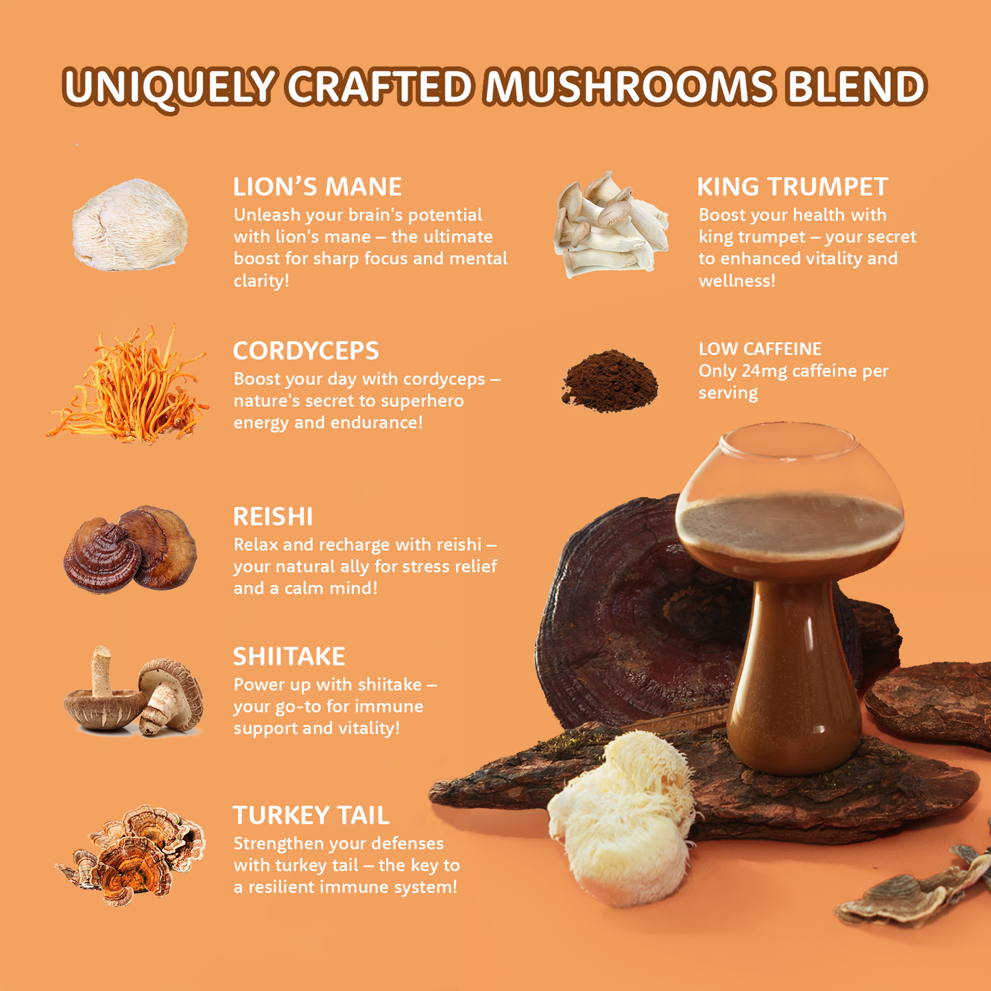 MycoMood Mushroom Coffee – 30-Day Starter Kit ☀️
