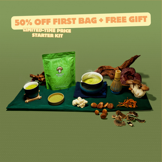 MycoMood Mushroom Matcha Latte – Starter Kit ☀️