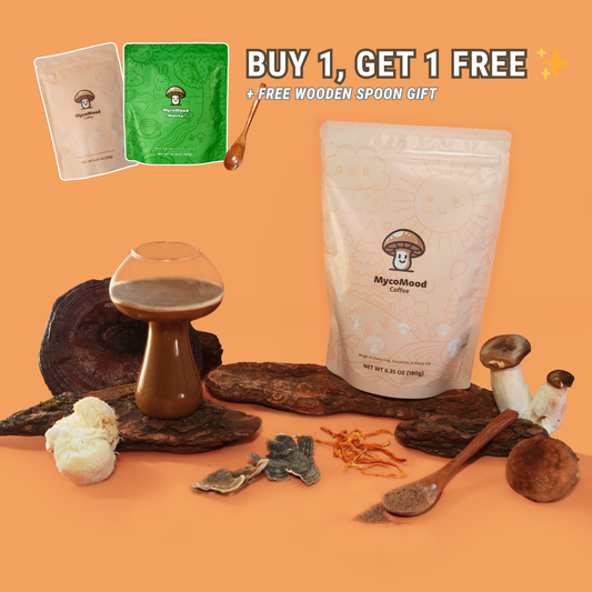 Buy 1 Get 1 Free – MycoMood Mushroom Coffee + Free Spoon Gift ✨