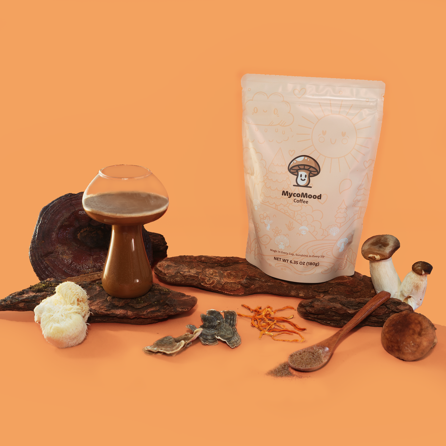 MycoMood Mushroom Coffee - Starter Kit