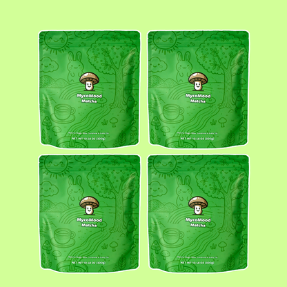 MycoMood – Mushroom Matcha Latte (4-Bag Bundle)