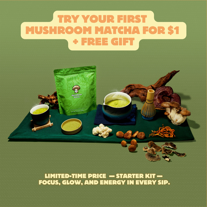 Get One 15-Serving Bag of MycoMood Mushroom Matcha for $1